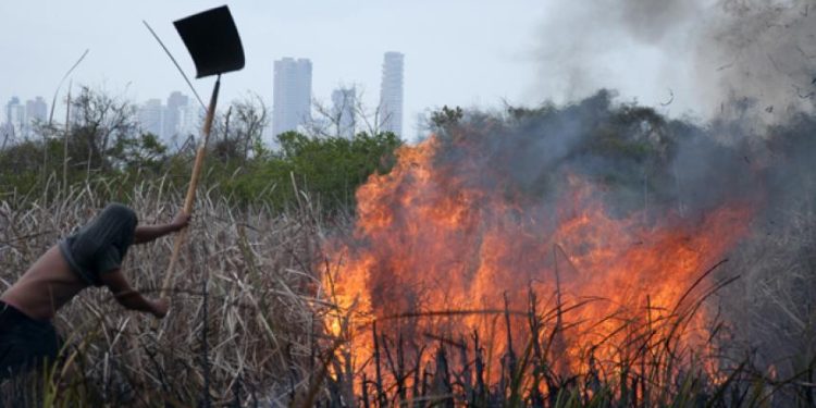 Incendio en Isla Salamanca ya arrasó con casi 30 hectáreas de zona de reserva natural