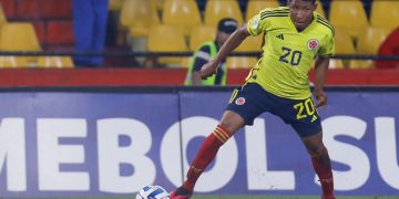 Selección Colombia sub 20 convocó a Brayan Caicedo y Jerónimo Osorno