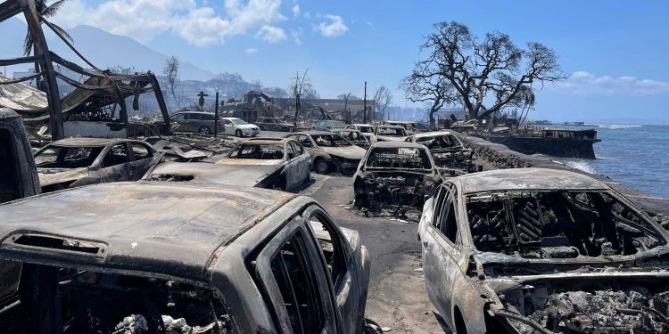 A 55 sube el número de muertos por incendio forestal que azota Hawái