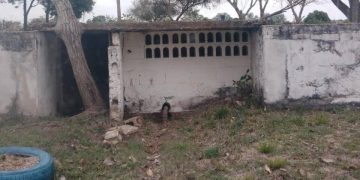 Al menos 20 cuerpos habrían en fosa común buscada en finca de familiares de Salvador Arana