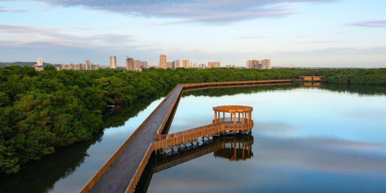 Ecoparque Ciénaga de Mallorquín, el tesoro ambiental de Barranquilla abre sus puertas