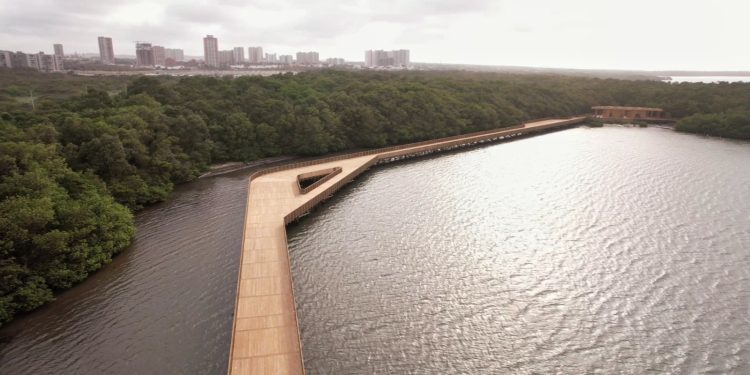 Ecocultura, el legado que inicia con la ciénaga de Mallorquín