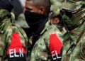 “ELN declaró paro armado en Chocó tras enfrentamientos con el clan del golfo”: denuncia la Defensoría
