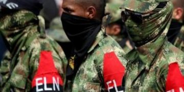“ELN declaró paro armado en Chocó tras enfrentamientos con el clan del golfo”: denuncia la Defensoría