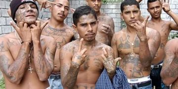 A 643 años de prisión fue condenado en Salvador un líder de la Mara Salvatrucha