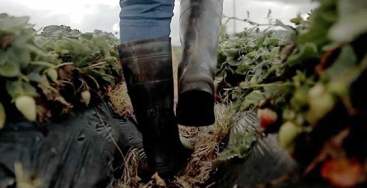 Resultados del Gobierno en el acceso y formalización de tierras son preocupantes: Procuraduría