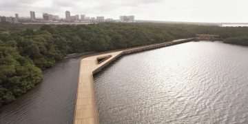 La ciénaga de Mallorquín, el tesoro barranquillero que abre sus puertas desde este fin de semana