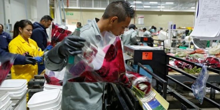 450 mil empleos se perderán con la reforma laboral, advierten Andi y Fenalco