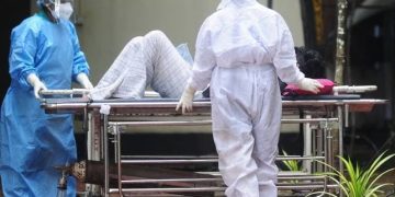 ¿Puede convertirse en una pandemia como el Covid-19 el nuevo virus Nipah?