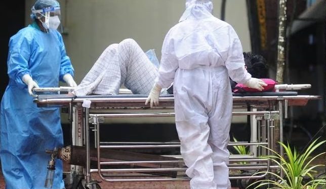 ¿Puede convertirse en una pandemia como el Covid-19 el nuevo virus Nipah?
