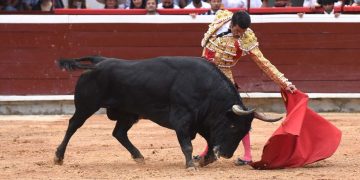Aprobado en segundo debate proyecto de ley que prohíbe corridas de toros