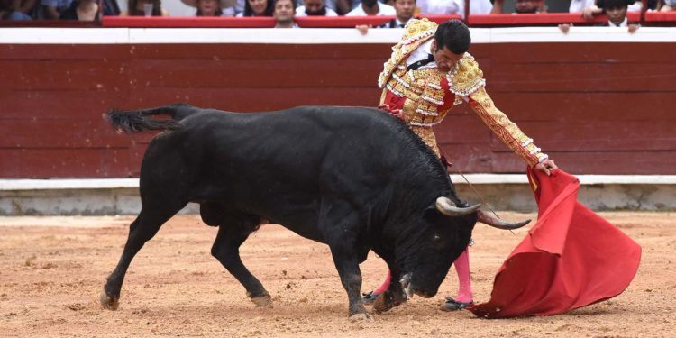 Aprobado en segundo debate proyecto de ley que prohíbe corridas de toros