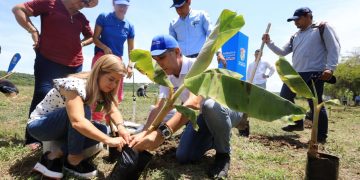 “Por primera vez, en el sur del Atlántico empieza la siembra tecnificada de plátano”: Elsa Noguera