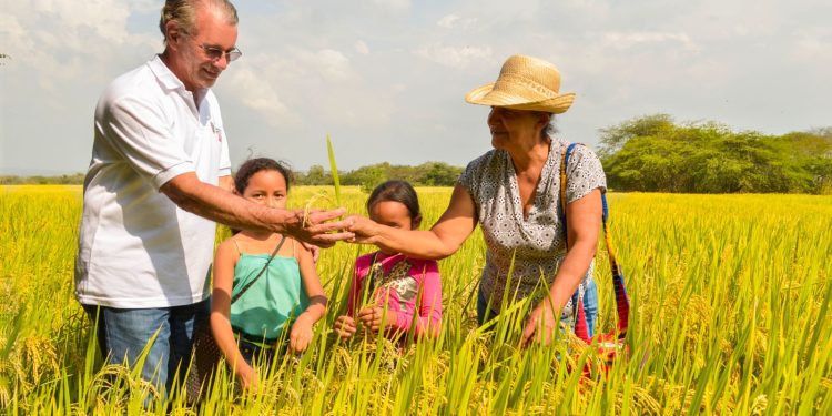 “Le daremos solución a la gente afectada por despulpadora de frutas del Gobierno nacional”: Verano