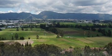 Autoridades encargadas de proteger Reserva Forestal Van der Hammen, estarían incumpliendo con su deber: Procuraduría