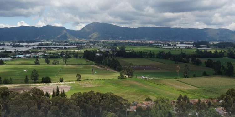 Autoridades encargadas de proteger Reserva Forestal Van der Hammen, estarían incumpliendo con su deber: Procuraduría