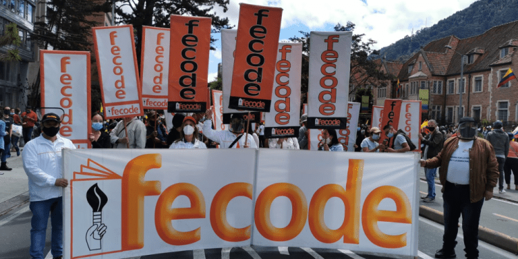 “Había más de 30 proponentes para licitación de salud de profesores”: Fecode desmiente a Minhacienda