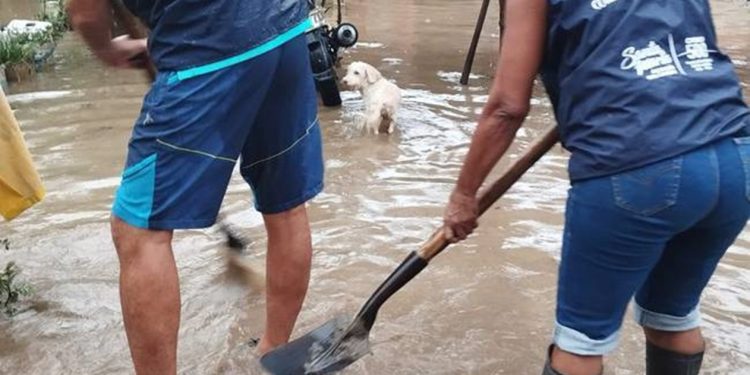 Intensas lluvias dejan graves afectaciones en Santa Marta: Al menos el 95% de la ciudad impactada