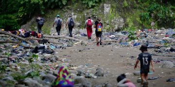 Selva de Darién: Procuraduría pide acciones del Gobierno para recuperar el daño ambiental
