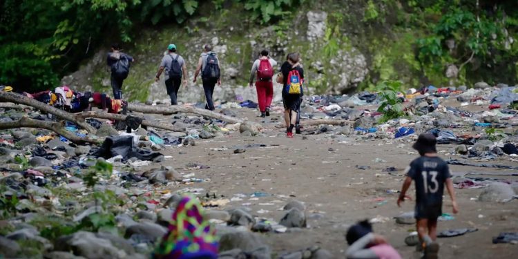 Selva de Darién: Procuraduría pide acciones del Gobierno para recuperar el daño ambiental