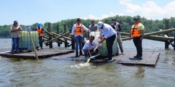 Barranquilla, ciudad modelo escogida por la ONU por su apuesta a la restauración de ecosistemas urbanos