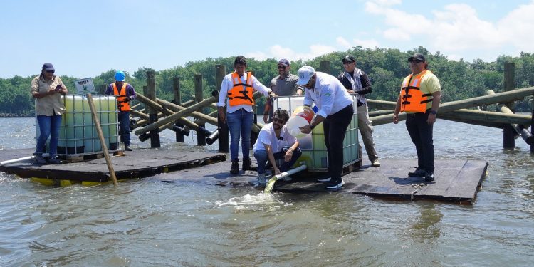 Barranquilla, ciudad modelo escogida por la ONU por su apuesta a la restauración de ecosistemas urbanos