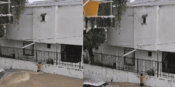 Dramático rescate de una pareja en arroyo de Cartagena