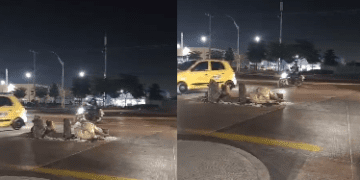 Peligroso hueco tiene en riesgo a conductores en la calle 30