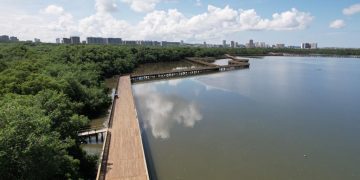 Nuevos senderos del Ecoparque Ciénaga de Mallorquín son habilitados al público