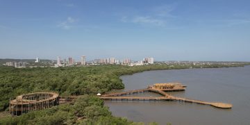 Barranquilla es reconocida por la ONU como ciudad modelo en medioambiente