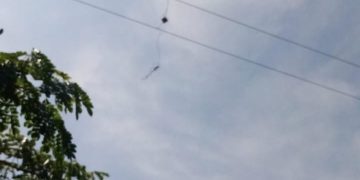 Denuncian vandalismo a redes eléctricas en zona rural de Punta Astillero