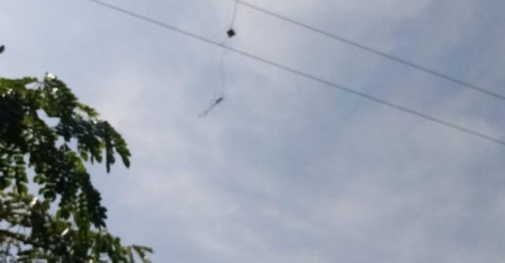 Denuncian vandalismo a redes eléctricas en zona rural de Punta Astillero