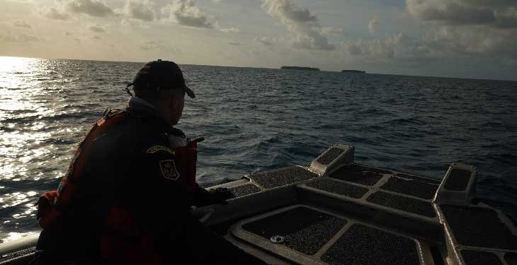 Crisis migratoria en San Andrés se agudiza