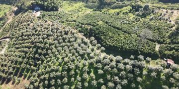 Cultivando La Guajira para un futuro sostenible