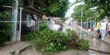 Torrencial lluvia destecho varias viviendas y provocó la caída de arboles al suroccidente de Barranquilla