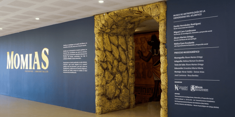 Uniatlántico lanza exposición temporal “Momias: cuerpos inmortales”, que expone aspectos de la momificación