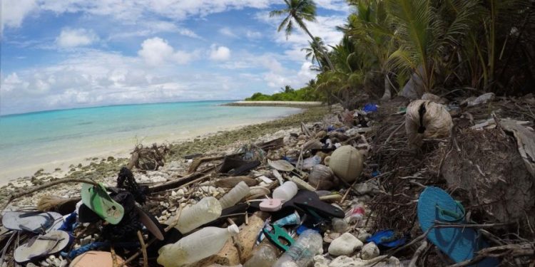 Prohíben el ingreso de plásticos de un solo uso en zonas protegidas como el Tayrona