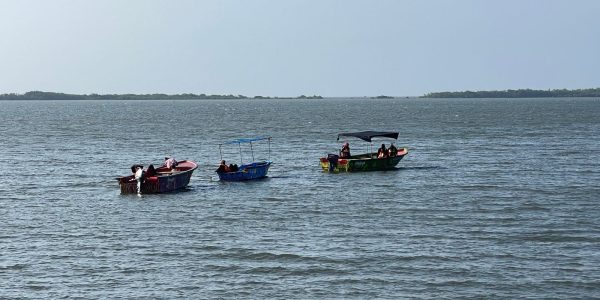 Aprueban plan de zonificación para la Ciénaga de Mallorquín en Barranquilla