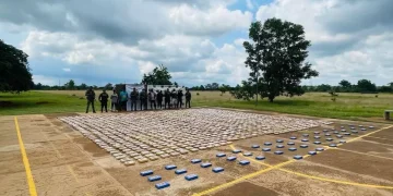 Ejército Nacional incauta más de tonelada y media de marihuana en Vichada