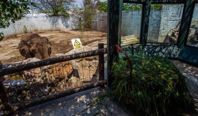 Zoológico de Barranquilla sería trasladado al lado de Ecoparque de la Ciénaga de Mallorquín