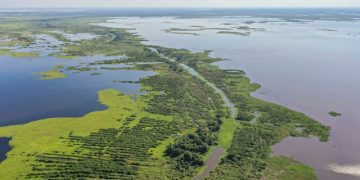 Millonaria inversión del Gobierno Petro para solucionar problemas de inundación en La Mojana