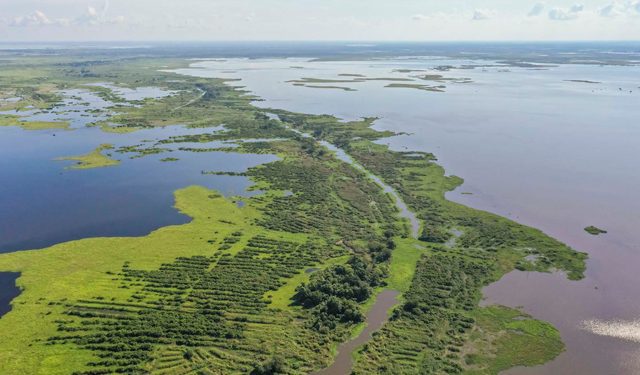 Millonaria inversión del Gobierno Petro para solucionar problemas de inundación en La Mojana