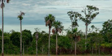 Serranía de Manacacías es declarada el Parque Nacional Natural número 61 en Colombia