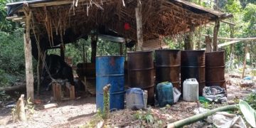 Fuerzas militares destruyen ocho laboratorios para el procesamiento de pasta base de coca