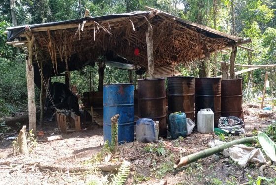 Fuerzas militares destruyen ocho laboratorios para el procesamiento de pasta base de coca