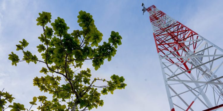 MinTIC publica para comentarios el borrador de decreto que reglamenta el acceso al uso compartido del espectro radioeléctrico