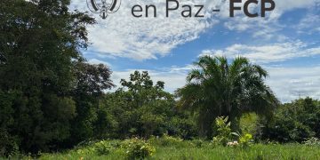 Escándalo en el Fondo Colombia en Paz: pagos millonarios a desmovilizados fallecidos generan indignación