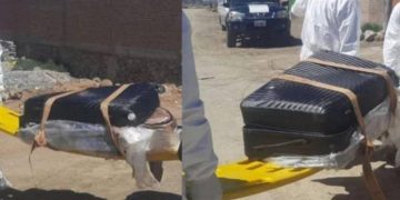 Asesinan a un colombiano en Bolivia: su cuerpo fue hallado en una maleta