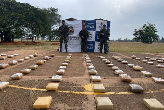 Incauta marihuana avaluada en más de nueve millones de dólares