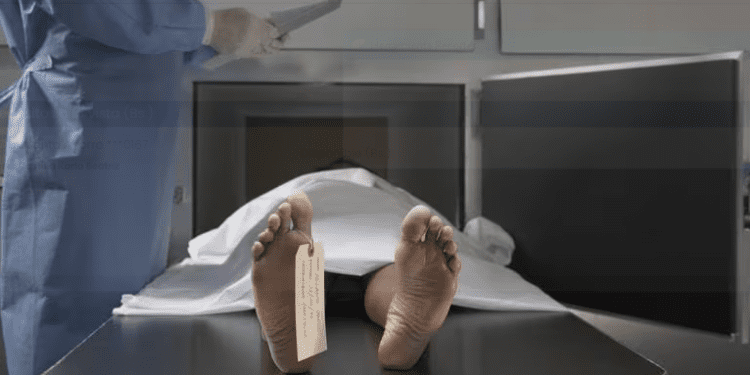 Funeraria vendía ilegalmente a universidades cadáveres de hospitales y asilos